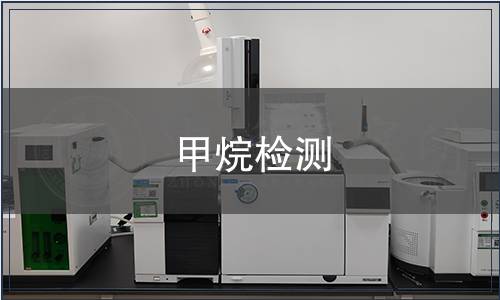 甲烷檢測(cè)