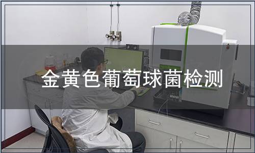 金黃色葡萄球菌檢測(cè)