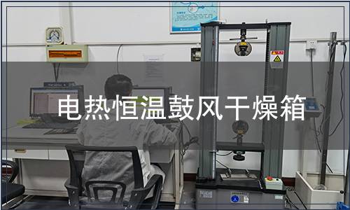 電熱恒溫鼓風(fēng)干燥箱
