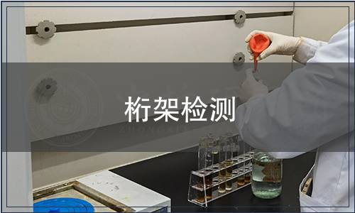 桁架檢測(cè)