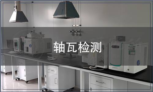 軸瓦檢測(cè)